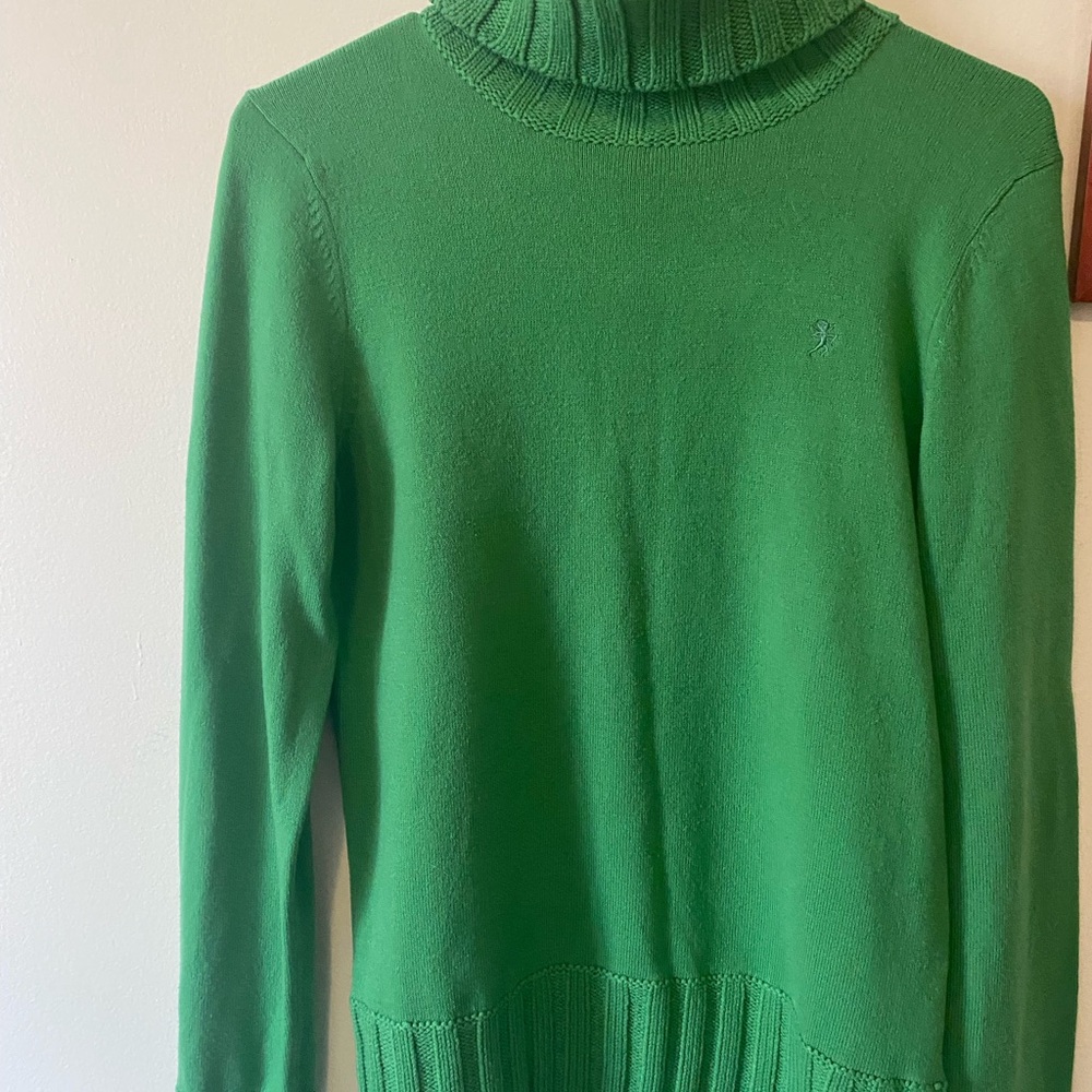 Elegant Green Turtleneck Sweater in a Medium Size, but it can fit a Small Size.